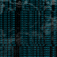 Illustration for article titled Botnet Warlord: Meet the Man Who Will Kill Your Computer